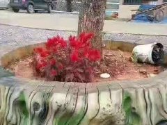 美丽新农村十五